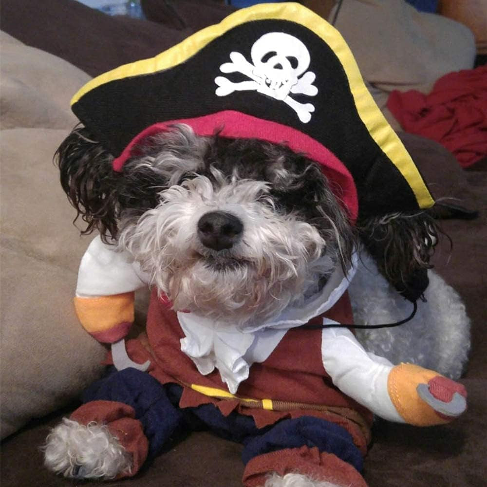  Cat Pirate Costumes - Small to Medium Dogs Cats Kitty - Halloween, Christmas Party 